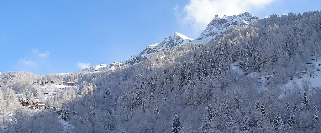 Hotel Dama Bianca Valtournenche Luaran gambar